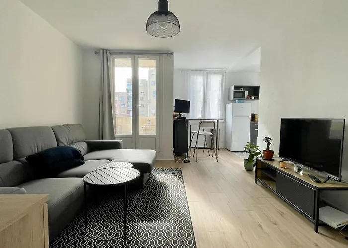 Apartment Et Lumineux A Dijon