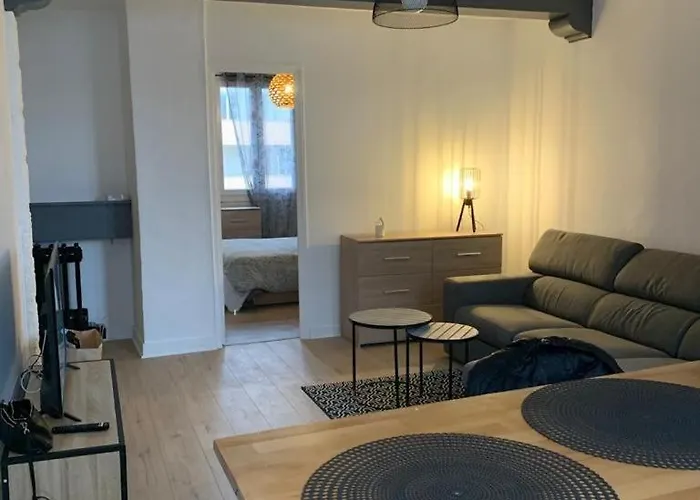 Et Lumineux à Appartement Dijon